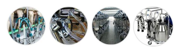 product-600-169 product-600-169